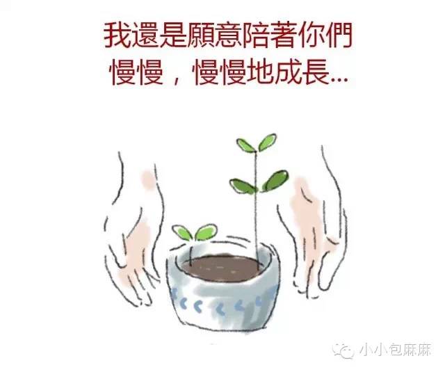 NYC纽约国际上海松江东鼎早教中心二胎的感人漫画