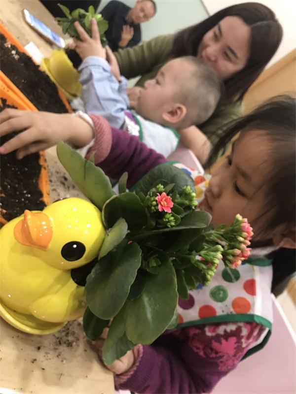 NYC纽约国际乌鲁木齐早教中心：3.12植树节,宝宝们护绿好专注