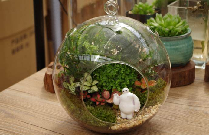 NYC纽约国际蓝色港湾早教中心花艺活动