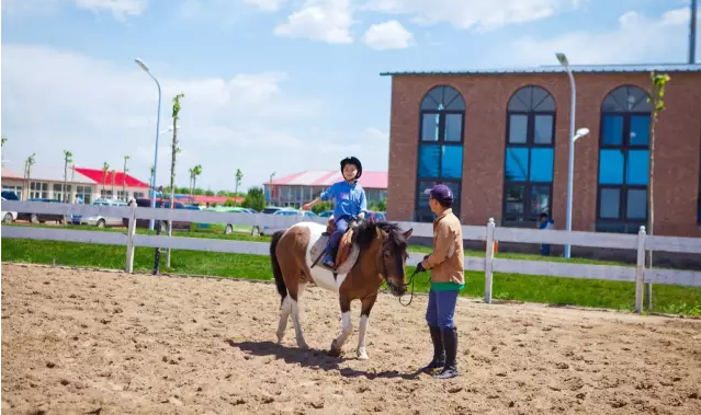 NYC纽约国际五棵松早教中心小小马术师 NYC纽约国际五棵松早教中心小小马术师
