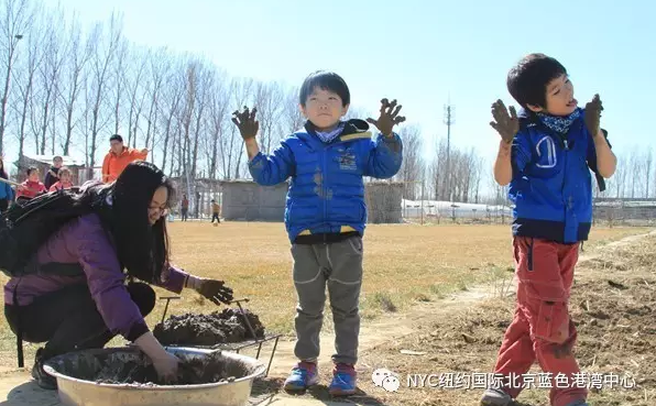 NYC纽约国际蓝色港湾早教中心乐游采摘
