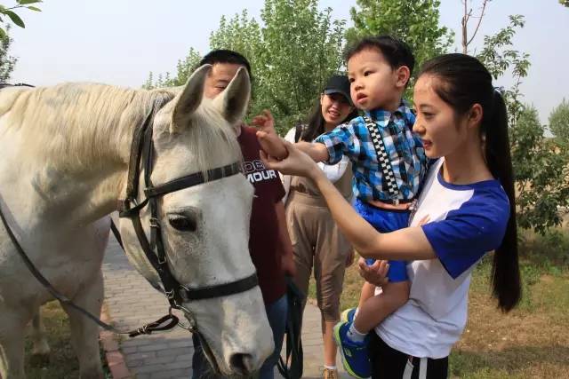 NYC纽约国际山东淄博万象汇中心：骑马、射箭，嗨翻五一