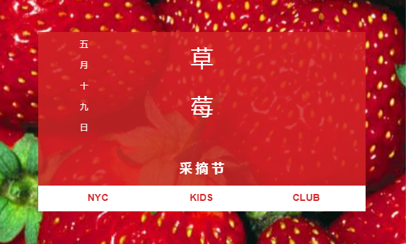 NYC纽约国际抚顺早教中心摘草莓活动回顾