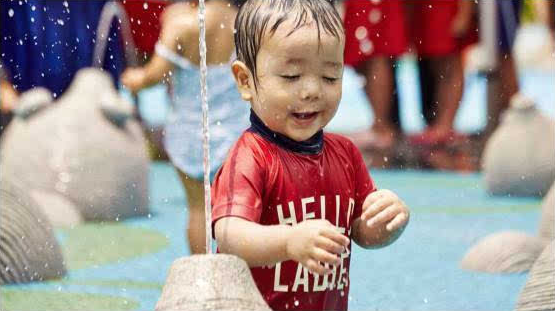 NYC纽约国际温州鹿城早教中心夏日大作战