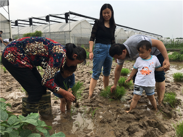 NYC纽约国际上海仲盛中心：缤纷水果采摘之采蓝莓活动回顾