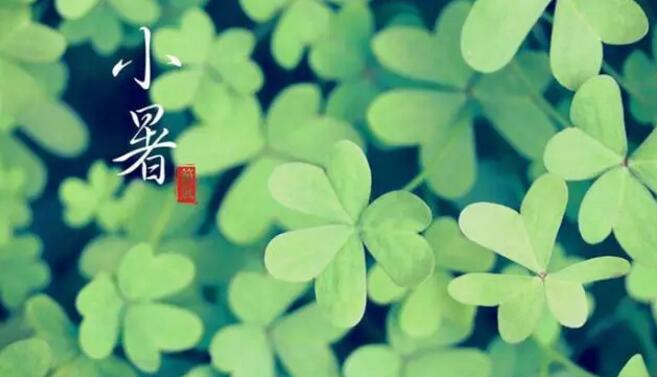  夏日消暑的正确打开方式