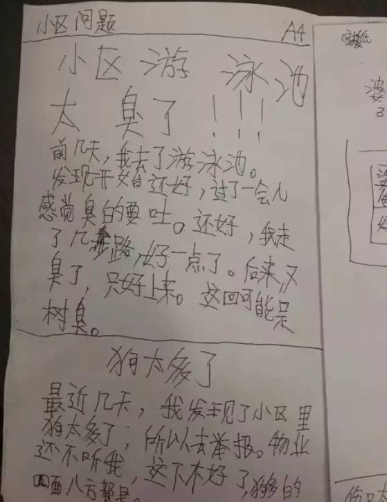 NYC育儿