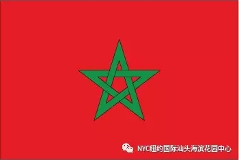 NYC课程