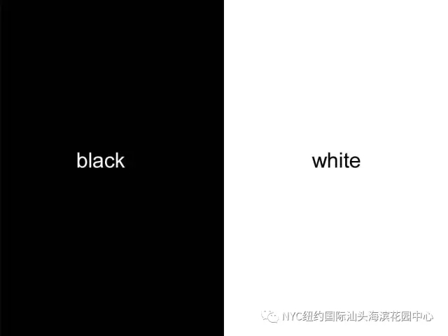 NYC课程