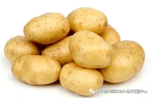 NYC课程