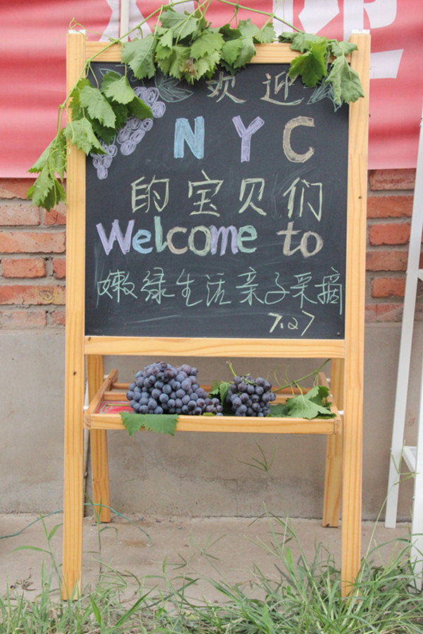 NYC纽约国际天津远洋未来广场早教中心7月工厂游活动回顾