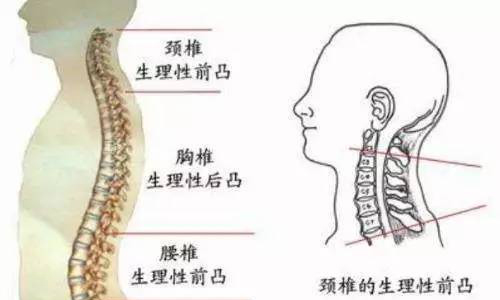 好枕头至少确保这3点