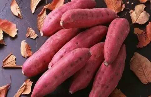 最适合宝宝的8种食物快回家做给宝宝吃吧