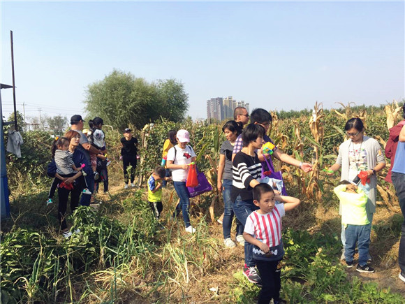 【活动回顾】现在为您带来《NYC水上运动会》现场实况转播