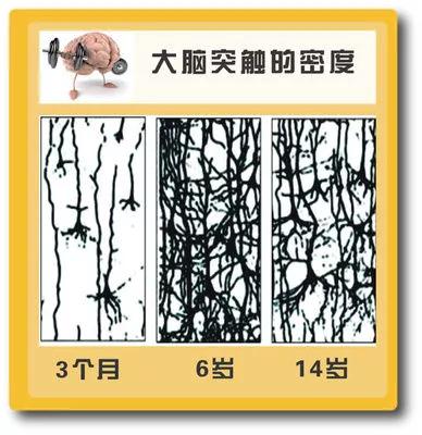 NYC纽约国际成都银泰城中心：早教上不上，差的不是钱，而是父母的观念！