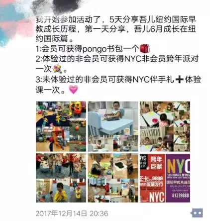 NYC成长故事