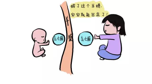 NYC宁波早教中心