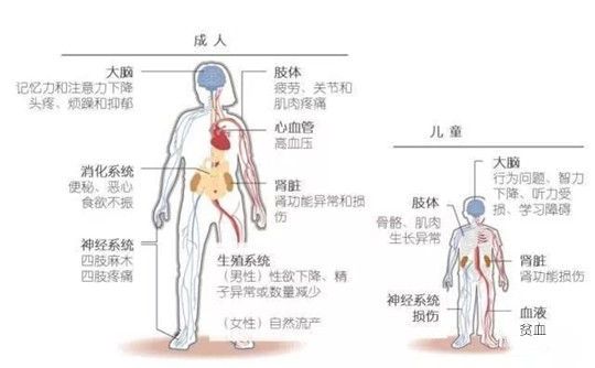 这种“隐藏毒药”会损害宝宝大脑和神经