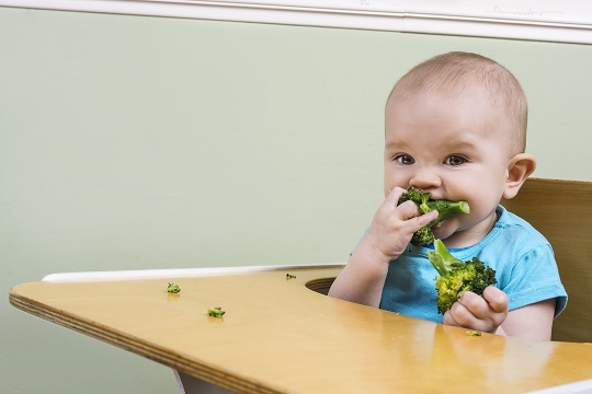 宝宝吃饭磨蹭食量小？做好这4点，再也不用追着喂！