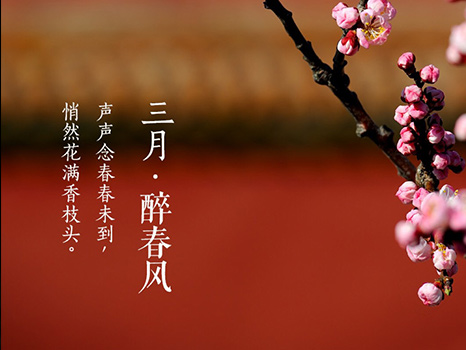 北京大兴早教中心