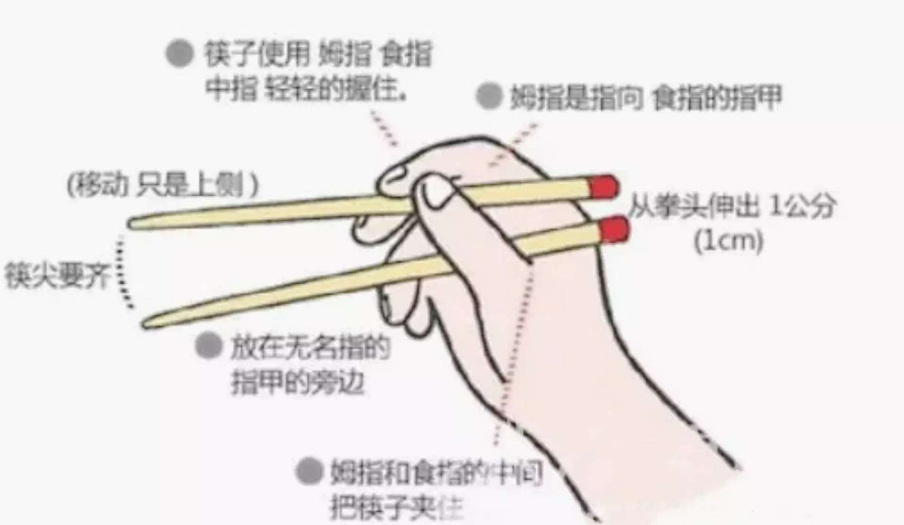 意料之外，外国网民纷纷赞同，筷子是吃面条的最有效餐具_叉子