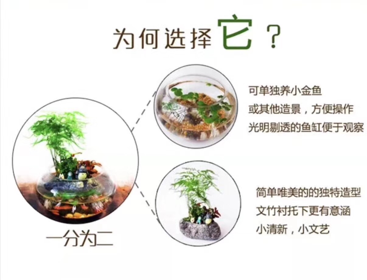 NYC纽约国际早教悠唐中心