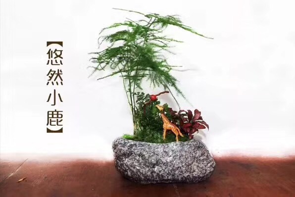 NYC纽约国际早教悠唐中心