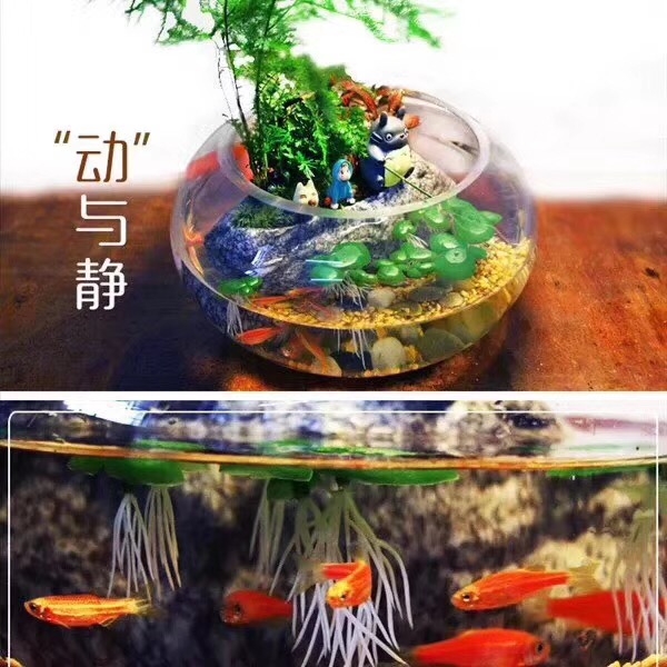 NYC纽约国际早教悠唐中心