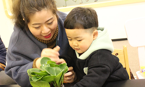 NYC纽约国际温州鹿城早教中心植树节回顾