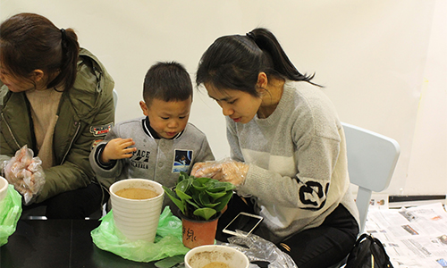 NYC纽约国际温州鹿城早教中心植树节回顾