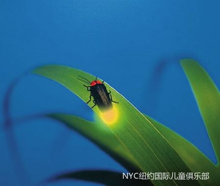 余姚早教