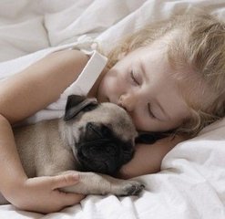 孩子适合养什么宠物