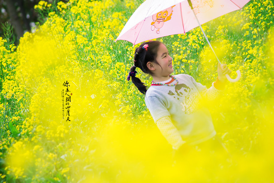 莘庄早教中心