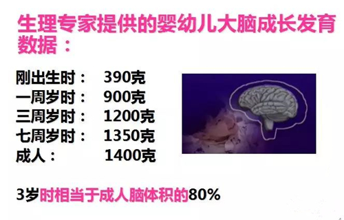 不懂早教的家庭没有未来，不重视早教的民族没有希望！