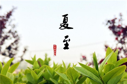 苦夏苦夏可不能苦了宝宝哦