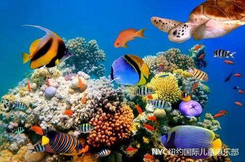 余姚早教