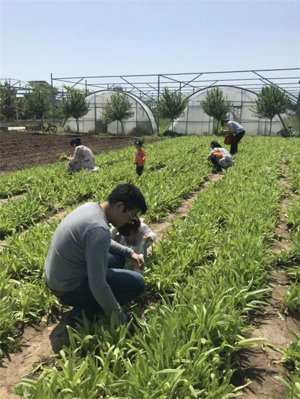 西安高新早教中心