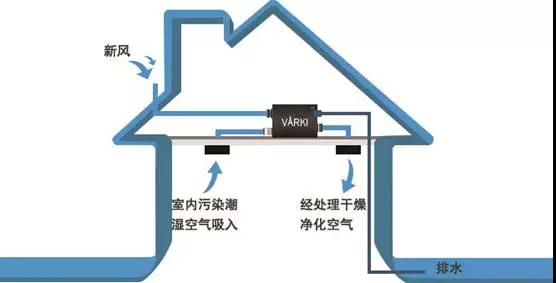 瑞典VARKI净松新风进入NYC国际早教