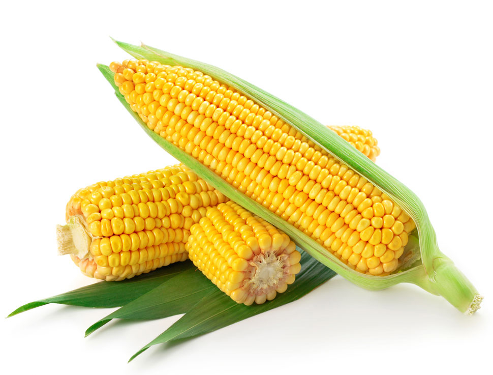 玉米,玉米的营养价值