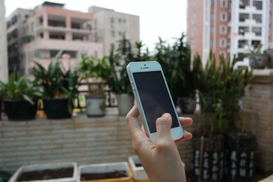 NYC长阳早教：“我的爸妈，是长方形的”