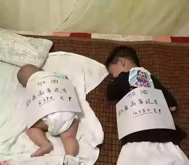 『高考』如果当初上了早教...