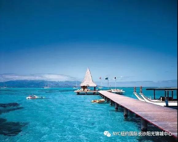 NYC长沙早教中心,音乐课尤克里里和草裙舞预告