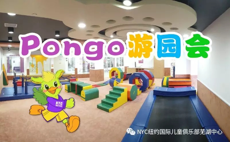 NYC芜湖早教中心