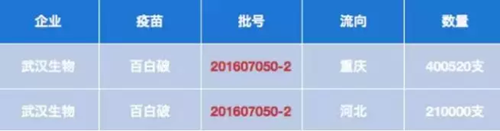 NYC太阳宫早教中心：“问题疫苗”事件持续发酵！家长们最关心的问题都在这里了！