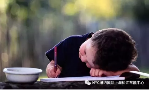 NYC纽约国际,上海松江早教中心,育儿，培养，艺术