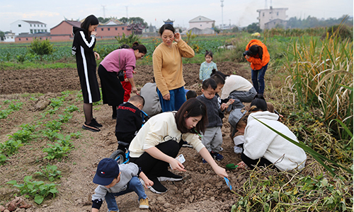 NYC纽约国际温州鹿城早教中心：向往的生活活动回顾