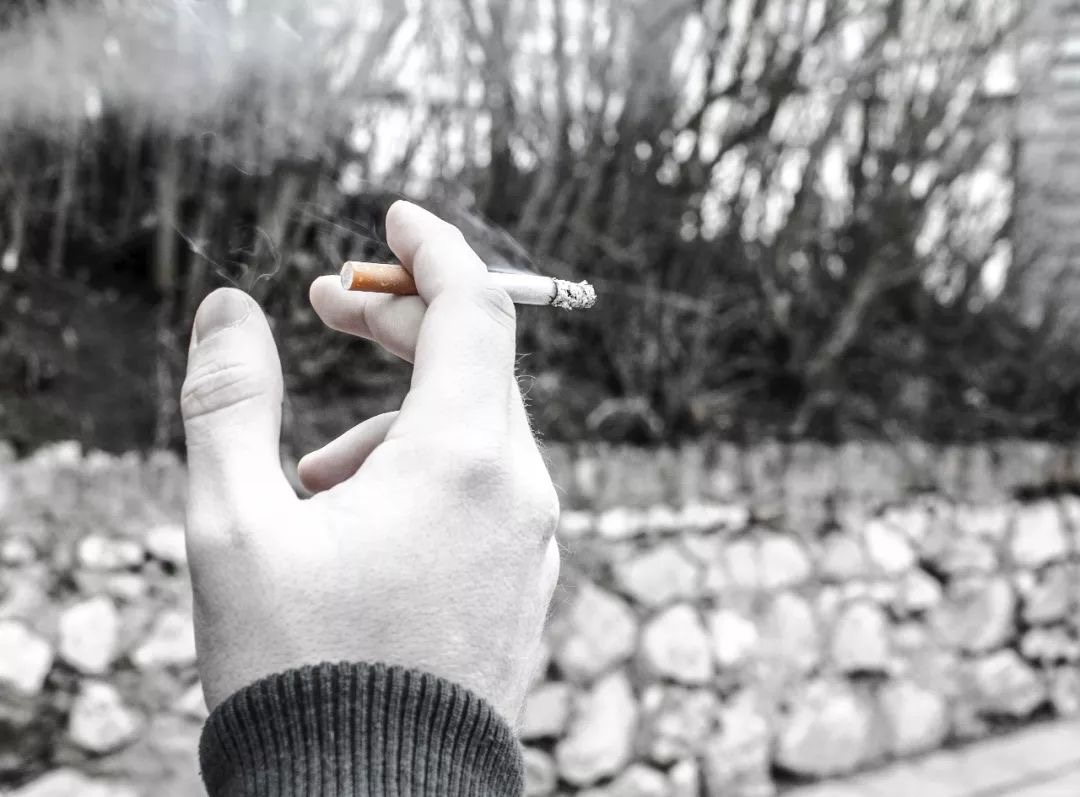 杭州早教中心,杭州儿童,NYC,纽约国际儿童俱乐部,杭州滨江早教中心