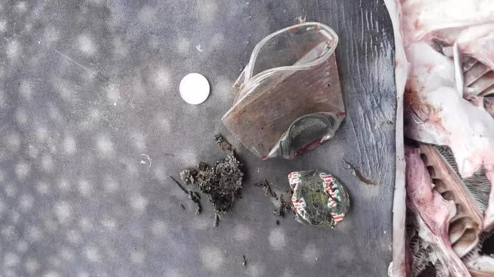 常州早教中心