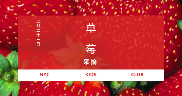 NYC纽约国际西铁营早教中心草莓采摘活动预告
