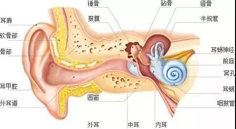 常州早教中心